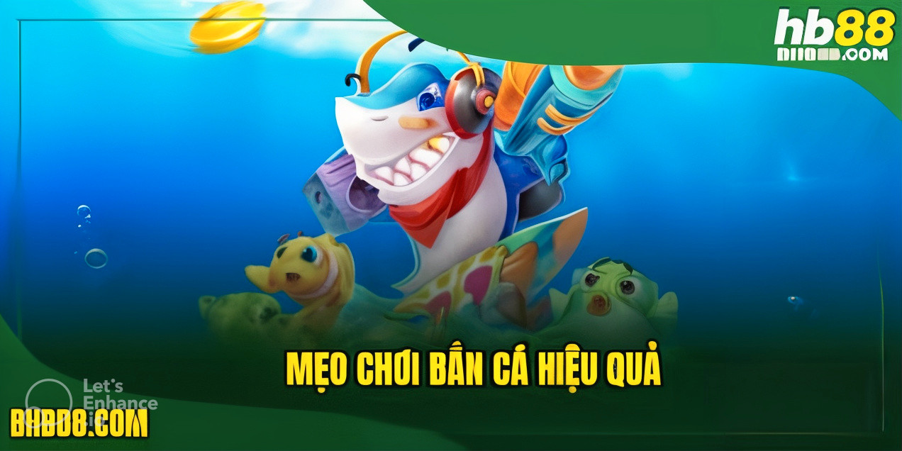 Mẹo săn cá hiệu quả dành cho người mới chơi