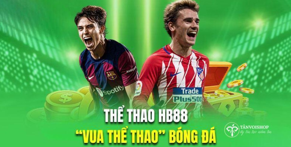 Tại sao thể thao HB88  lôi cuốn người chơi?
